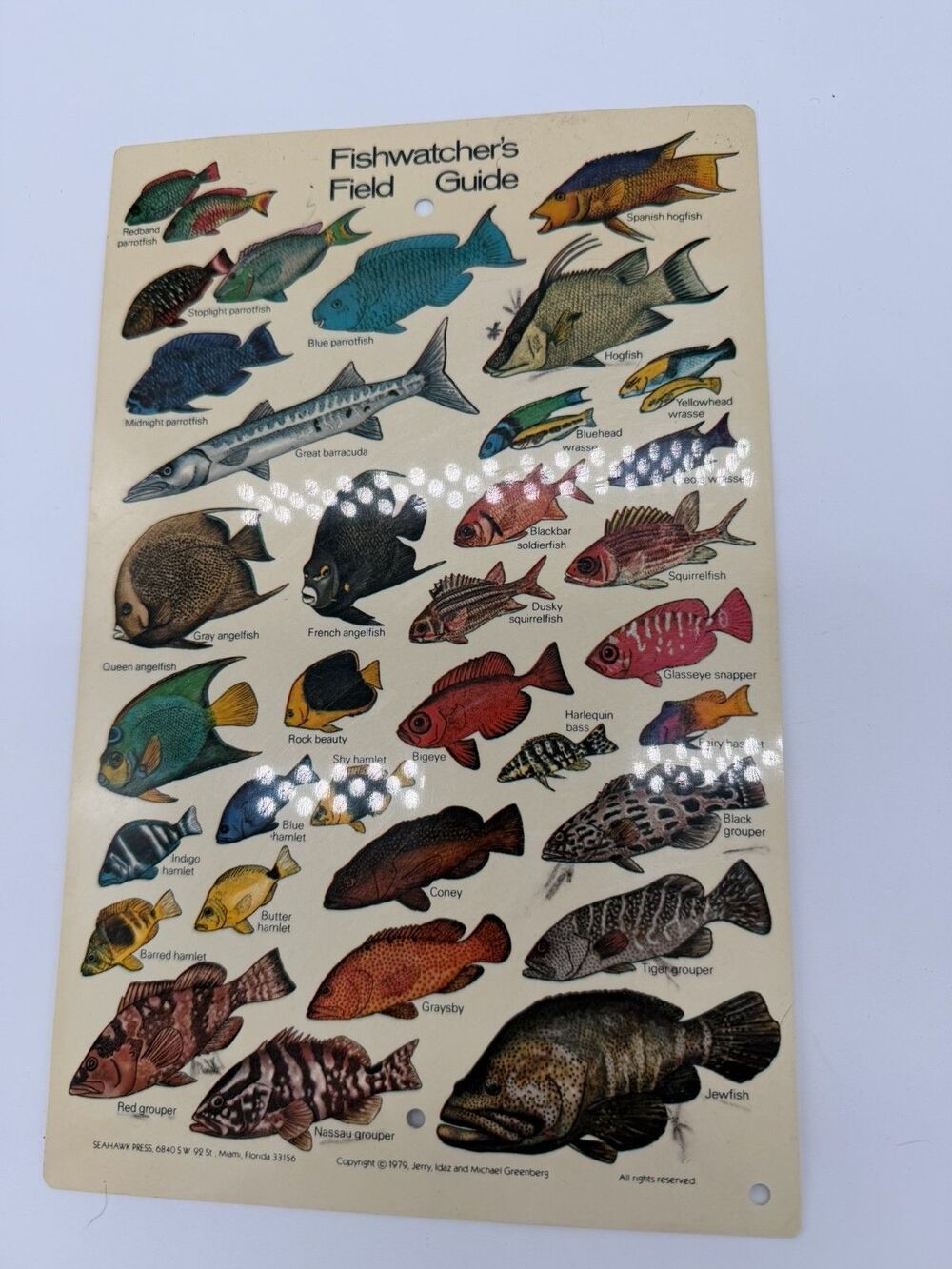 Vintage 1979 Fishwatcher’s Fish Guide Waterproof Scuba Diving Card Seahawk Press
